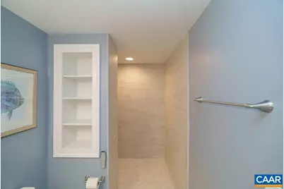 2741 Proffit Crossing Ln, Charlottesville, VA 22911 - Photo 55