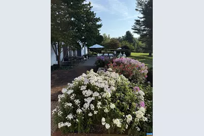 1293 Hammocks Gap Rd, Charlottesville, VA 22911 - Photo 73