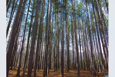 3324 Laurel Rd, Shipman, VA 22971 - Photo 31