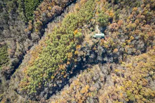 9225 Howardsville Turnpike, Schuyler, VA 22969 - Photo 7