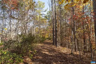 9225 Howardsville Turnpike, Schuyler, VA 22969 - Photo 67