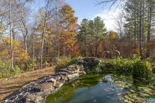 9225 Howardsville Turnpike, Schuyler, VA 22969 - Photo 53
