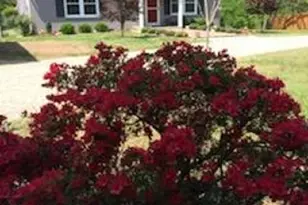 2600 Earlysville Rd, Earlysville, VA 22936 - Photo 1