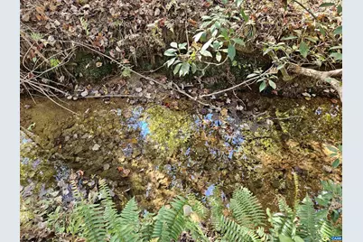 10239 Howardsville Rd, Howardsville, VA 24562 - Photo 35