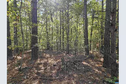 10239 Howardsville Rd, Howardsville, VA 24562 - Photo 31