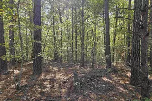 10239 Howardsville Rd, Howardsville, VA 24562 - Photo 31