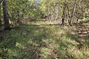 10239 Howardsville Rd, Howardsville, VA 24562 - Photo 37