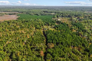 10239 Howardsville Rd, Howardsville, VA 24562 - Photo 41