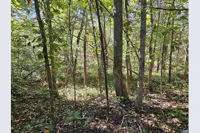 10239 Howardsville Rd, Howardsville, VA 24562 - Photo 33