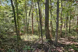 10239 Howardsville Rd, Howardsville, VA 24562 - Photo 33