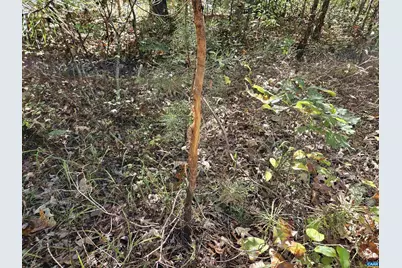 10239 Howardsville Rd, Howardsville, VA 24562 - Photo 39