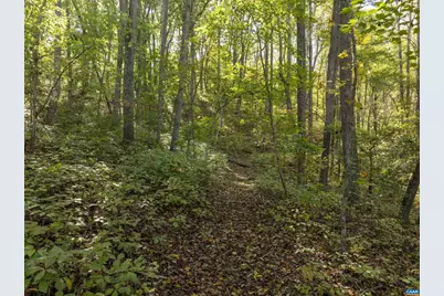 4035 Edge Valley Rd, North Garden, VA 22959 - Photo 57