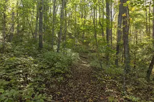 4035 Edge Valley Rd, North Garden, VA 22959 - Photo 57