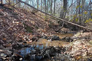 3901 Midland Rd, Wingina, VA 24599 - Photo 15