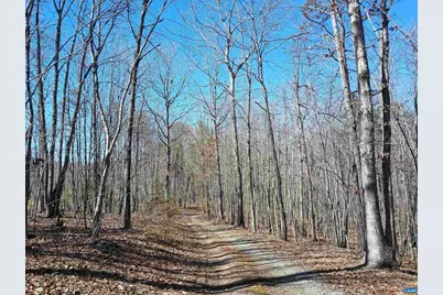 3901 Midland Rd, Wingina, VA 24599 - Photo 13