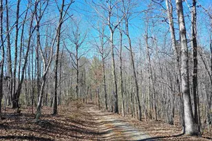 3901 Midland Rd, Wingina, VA 24599 - Photo 13