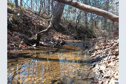 3901 Midland Rd, Wingina, VA 24599 - Photo 75