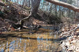 3901 Midland Rd, Wingina, VA 24599 - Photo 75