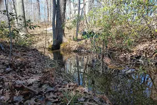 3901 Midland Rd, Wingina, VA 24599 - Photo 17