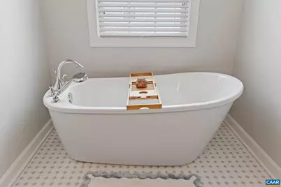 106 Paynes Mill Rd, Charlottesville, VA 22902 - Photo 27