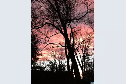 1820 Fendall Ave, Charlottesville, VA 22903 - Photo 57