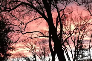 1820 Fendall Ave, Charlottesville, VA 22903 - Photo 57