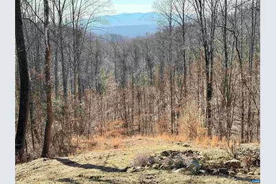 899 Wares Gap Rd, Monroe, VA 24574 - Photo 43