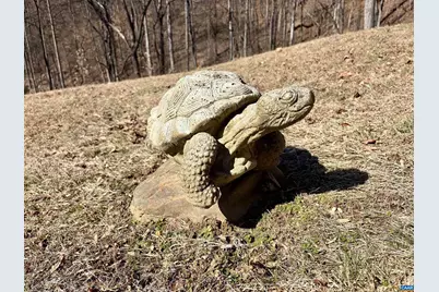 899 Wares Gap Rd, Monroe, VA 24574 - Photo 39