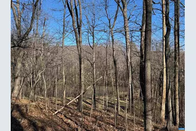 Tbd Edmond Dr #16D, Crozet, VA 22932 - Photo 3