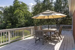 2302 Wakefield Rd, Charlottesville, VA 22901 - Photo 35