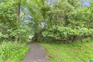 343 Rolkin Rd, Charlottesville, VA 22911 - Photo 35