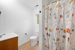 345 Redhawk Trail, Charlottesville, VA 22903 - Photo 67