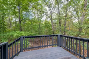 345 Redhawk Trail, Charlottesville, VA 22903 - Photo 71