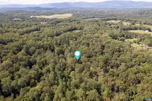 345 Redhawk Trail, Charlottesville, VA 22903 - Photo 75