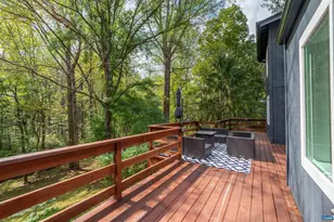 345 Redhawk Trail, Charlottesville, VA 22903 - Photo 39