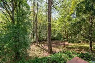 345 Redhawk Trail, Charlottesville, VA 22903 - Photo 45