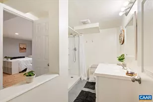 119 Stribling Ave, Charlottesville, VA 22901 - Photo 27