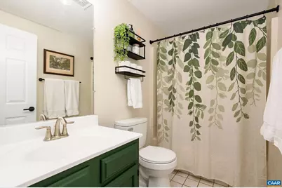 302 Palatine Ave, Charlottesville, VA 22902 - Photo 23