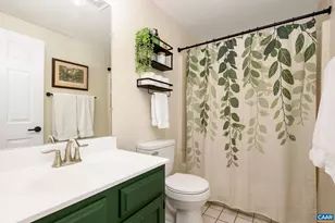 302 Palatine Ave, Charlottesville, VA 22902 - Photo 23