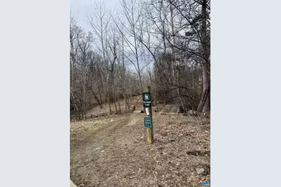 104 Wilson Ct, Charlottesville, VA 22901 - Photo 53