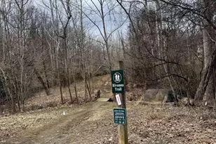 104 Wilson Ct, Charlottesville, VA 22901 - Photo 53