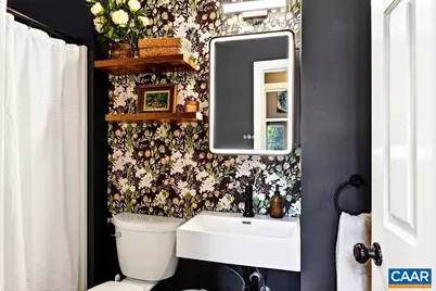 777 Emmaeus Rd, Afton, VA 22920 - Photo 11