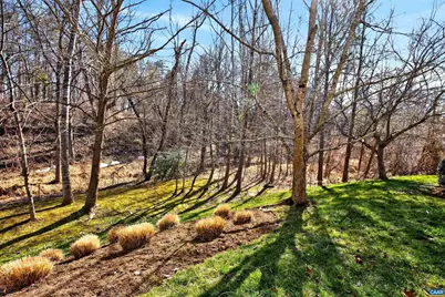 1069 Bristlecone Ln, Charlottesville, VA 22911 - Photo 29
