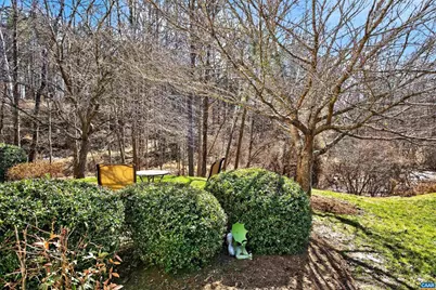 1069 Bristlecone Ln, Charlottesville, VA 22911 - Photo 27