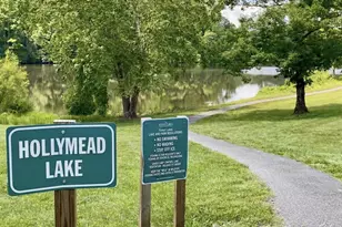 1069 Bristlecone Ln, Charlottesville, VA 22911 - Photo 33