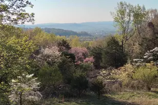 6630 Highlander Way, Crozet, VA 22932 - Photo 5