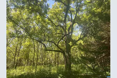 6630 Highlander Way, Crozet, VA 22932 - Photo 33