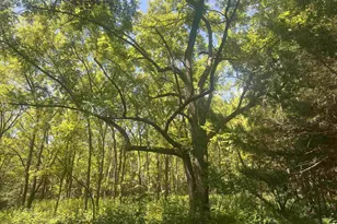 6630 Highlander Way, Crozet, VA 22932 - Photo 33