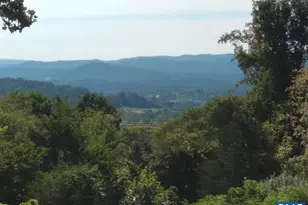 6630 Highlander Way, Crozet, VA 22932 - Photo 31