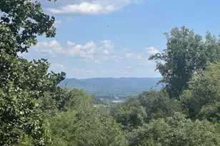 6630 Highlander Way, Crozet, VA 22932 - Photo 3